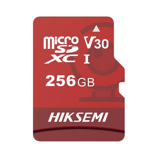 Carte Micro-SD 256 Go Classe C10 pour la surveillance