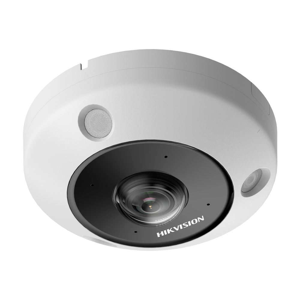 Hikvision DS-2CD6365G1-IVS - Caméra réseau Fisheye DeepinView fixe 1,16 mm 6 MP